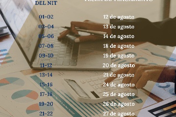 DECLARACIÓN DE RENTA PERSONA NATURAL