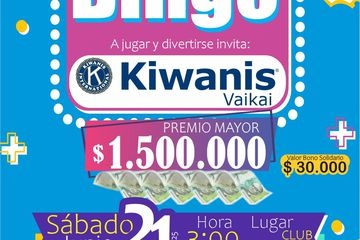 Bingo a Jugar y Divertirse