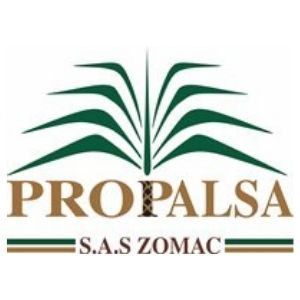 Propalsa