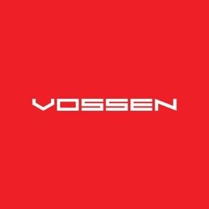 Vossen