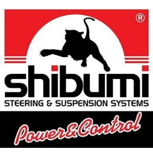 Shibumi