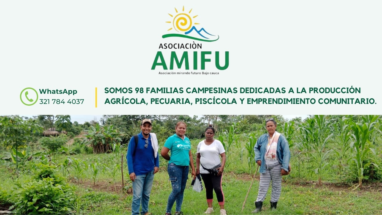 ASOCIACIÓN MIRANDO FUTURO BAJO CAUCA - AMIFU