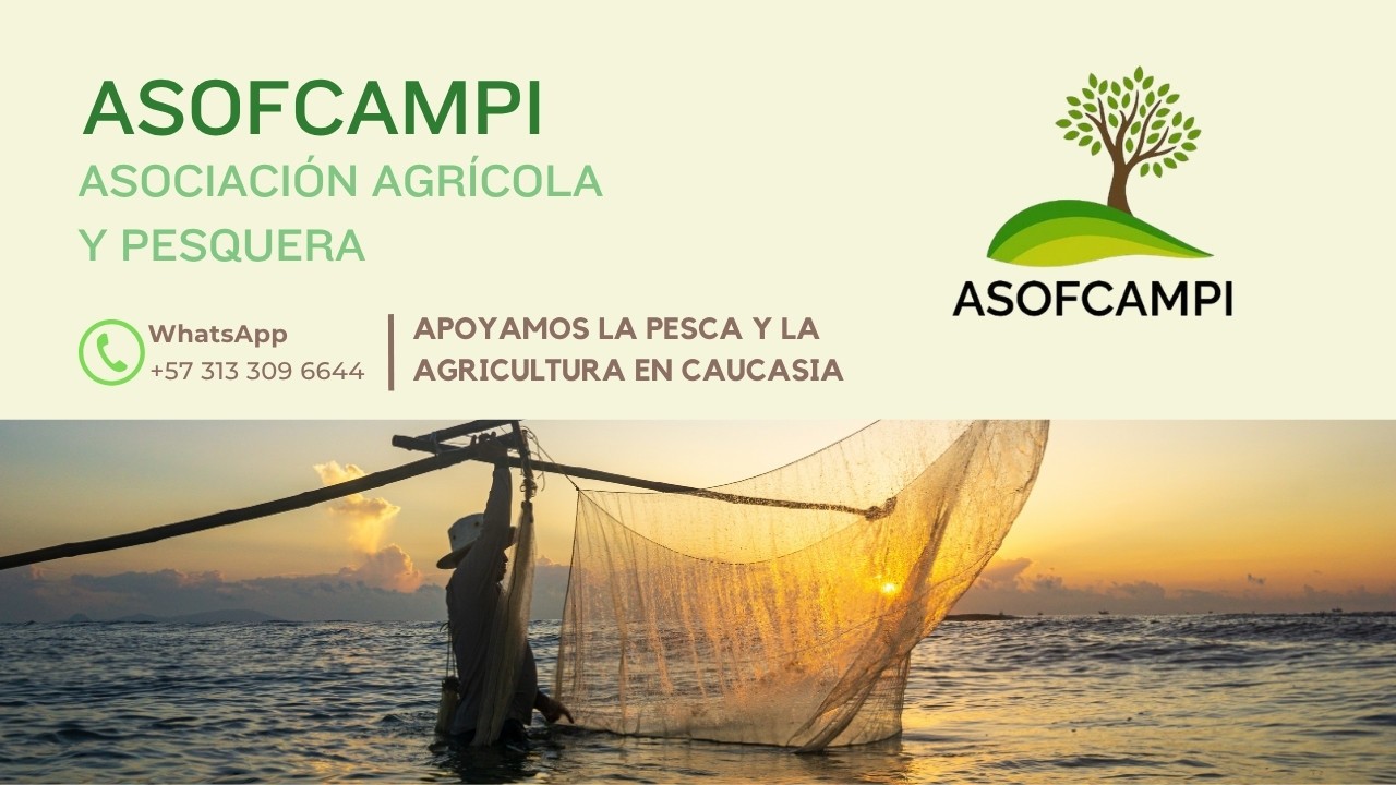 Asociación agrícola y pesquera en Caucasia | ASOFCAMPI