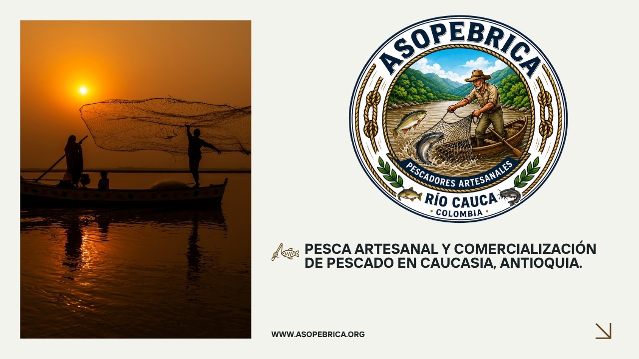 ASOPEBRICA | Asociación de Pescadores en Caucasia
